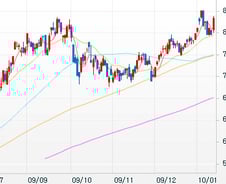[내일의전략]다시 움직이는 IT株