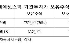 '스팩'도 테마? '개미' 몰리자 기관 단타