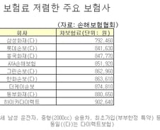 같은 車·조건인데… 車보험료 51만원 차이