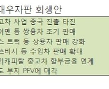 대우자판 워크아웃 "중고차사업 中진출 추진"