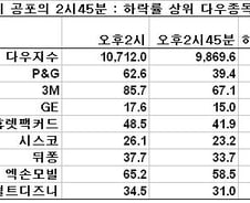 "어뢰처럼 순식간 침몰" 美증시 공포의 2시40분