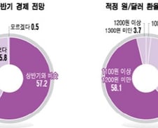 [CEO설문]CEO84% "하반기 경기, 비슷하거나 더 좋다"