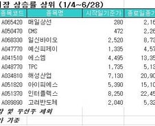 매일상선 673%↑…상반기 코스닥 상승률 1위