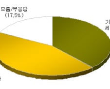 "세종시 '+α' 필요없다" 의견 많아 