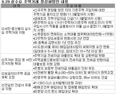 실수요자 DTI 규제 내년3월까지 '사실상 폐지'