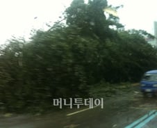 태풍 곤파스 영향, 서울 교통마비 '출근대란'