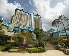 "바카라 앞엔 3겹 줄" '최고실적' 강원랜드는 지금 