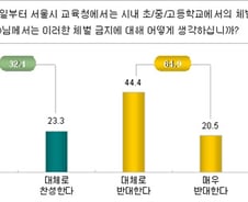 '체벌 전면금지' 찬성 32%, 반대 65%