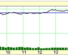 장막판 급락으로 풋옵션 250.0 투자자 249배 '대박'