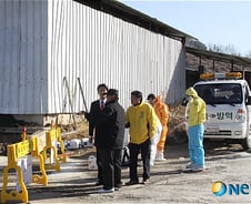 구제역 확정 판명 돼지 9000두 살처분