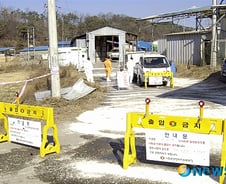 안동 구제역 3만4000두 살처분, 단일 지역으로 최대