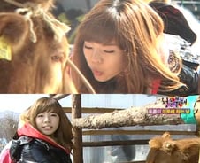 '청춘불패' 푸름이, 구제역 살처분 소문에...