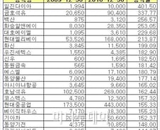 아듀 2010 한국 증시 '그 빛과 그림자'