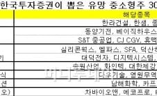 설연휴 지나면 중소형주 노려보자