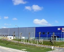 車업계, 아 이집트!!  '아프리카 교두보' 어쩌나 