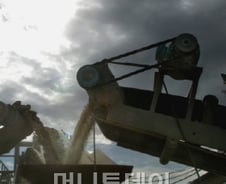 '먹잇감'따라 이동하는 '철새 건설사'