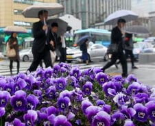 쏟아지는 '방사능 비'…정부만 "안전하다"?