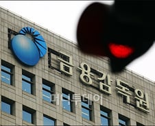 [사진]빨간불 들어온 금감원