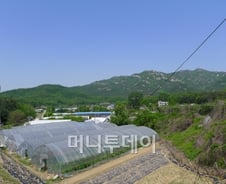 울고싶은 '과천', 보금자리에 뺨 맞은 격?
