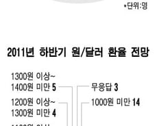 "하반기 환율 1000원~1100원, 금리 더 올린다"
