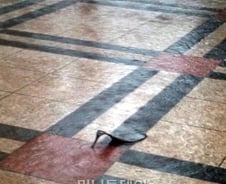 [사진] 폭우에 얼마나 급했으면... 구두만 덜렁