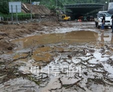 인명피해·수십채 가옥 매몰…우면산 산사태 '왜?'