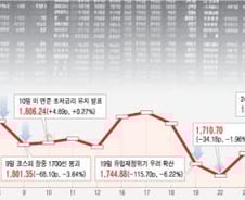 [8월 쇼크한달]쇼크, 쇼크, 쇼크···공포의 기록들