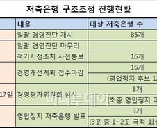 영업정지 저축銀 8개 압축, 18일 최종발표