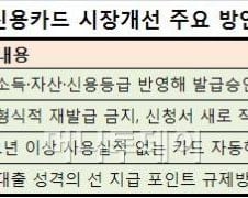 신용카드 발급에도 DTI 적용