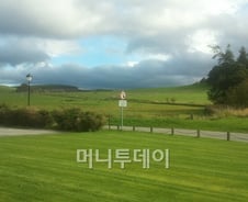 위스키와 막걸리의 공통점은