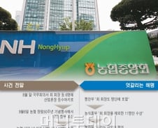농협 회장 금탑산업훈장 '쉬쉬' 왜?