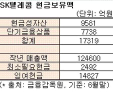 SKT, 하이닉스 인수대금 3.3조 어디서?