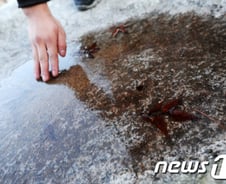 기상청 "전력당국, 밤잠 못 자는 추운 겨울될 듯"