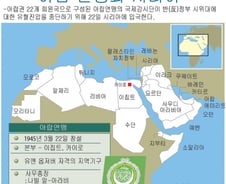 [그래픽] 아랍연맹 국제감시단