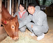 '쇠고기의 달인', 가격 안정시키려면 어떻게?