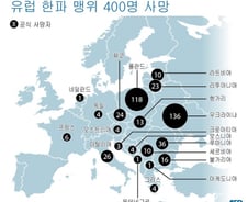 [그래픽] 유럽한파 맹위 400명 사망