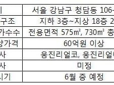 [단독]'1채=60억' 청담동에 초고가 아파트