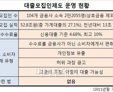 [단독]'돈 필요해요?'대출모집인 내달 일제검사