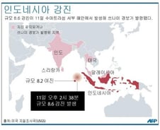 [그래픽] 인도네시아 강진