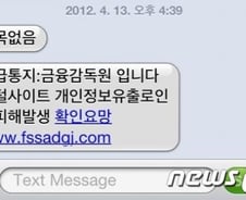 [단독] 금감원 사칭 '문자피싱' 기승