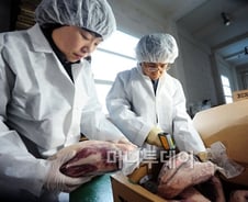 美 소비자연맹 "이번 광우병 기존 광우병보다 치명적"