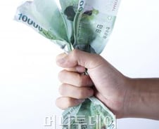 솔로몬등 4개 저축銀 영업정지, 8101명·121억 피해