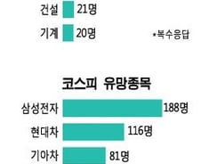 업종은 電車…종목은 삼성電-셀트리온