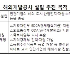 [단독]정부 '해외개발공사' 설립 추진