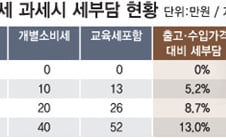 800만원 샤넬백, 내년엔 '稅52만원' 더 물린다
