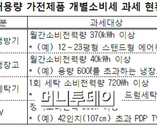 에너지 고효율 가전제품, 개별소비세 면제