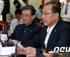 황우여 "李 대통령 독도 방문, 폄하 해선 안돼"