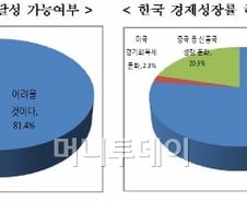 "경제민주화 정책..하반기 경제에 부정적 영향"