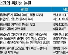 '일감 몰아주기' 규제, 헌법 어기면서까지? 
