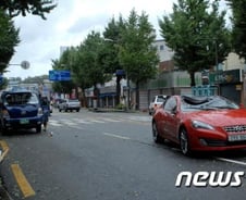 볼라벤 위력, 가로수 뽑혀 車지붕에 '아찔'